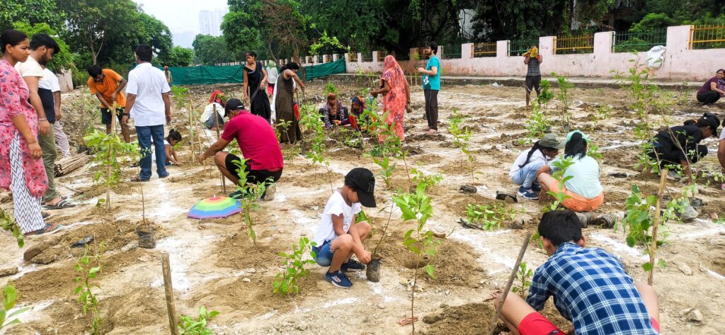 Plantation drive at Miyawaki spot