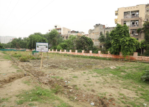 Transforming Pratap Vihar Dumpyard into Urban Forest