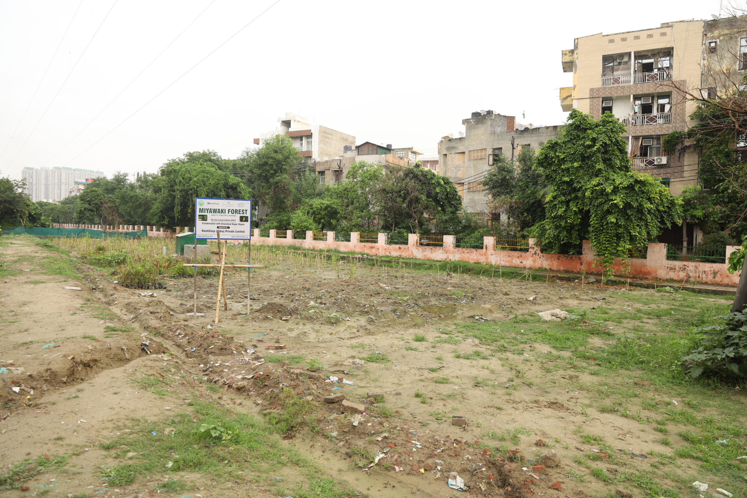 Transforming Pratap Vihar Dumpyard into Urban Forest